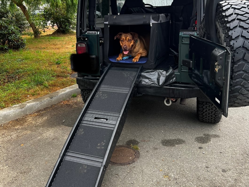 RedRock Easy-Fold Pet Ramp (Universal; Some Adaptation May Be Required) - Image 13