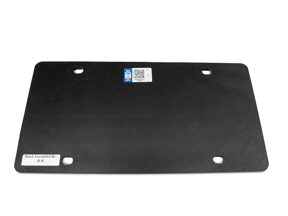 RedRock Stainless Steel License Plate with Silver FORD Lettering (Universal; Some Adaptation May Be Required) - Image 5