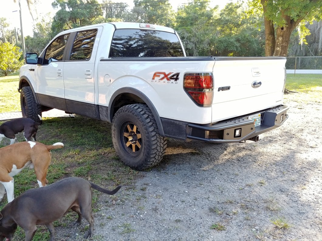 RedRock Tubular Off-Road Rear Bumper with LED Fog Lights (06-14 F-150) - Image 9
